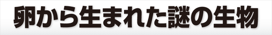 卵から生まれた謎の生物