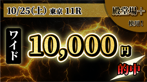 25日（土）11R
